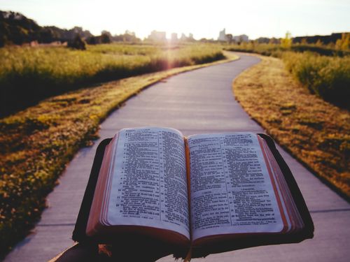 Open Bible held on a path leading to light as we learn how Ellen White emphasizes that ultimately we should go to Scriptures