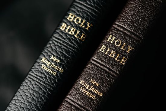 A NKJV Bible, which is a more literal Bible translation