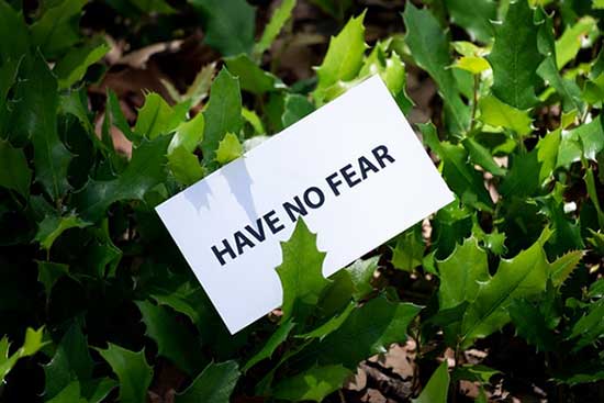 No Fear card in midst of green bush as we focus on God's promise toward us to trust Him and not be afraid.