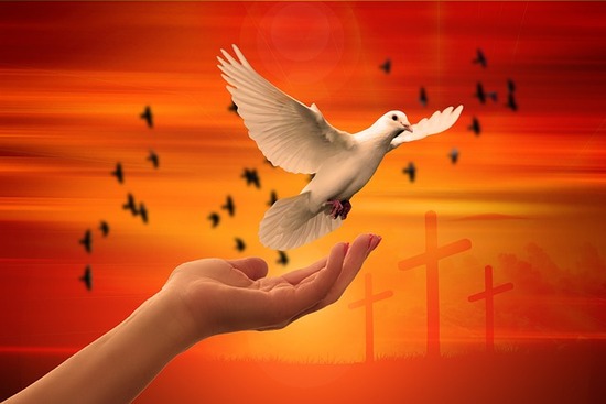 A hand releasing a dove, symbolic of the Holy Spirit