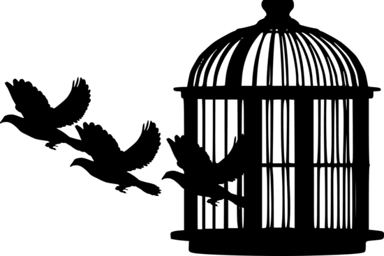 Birds flying out of a cage, representing religious liberty