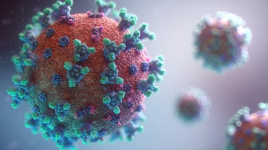 A visualization of a virus, as diseases become more prevalent in the end times