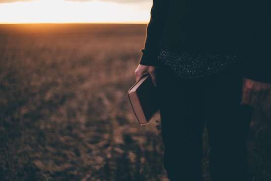 A man in a field holding a Bible, searching for truth