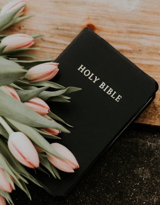 The Holy Bible, the ultimate authority for Seventh-day Adventists