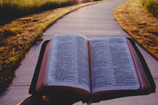 An open Bible held over a pathway symbolizing the way Scripture guides us along the path of life.