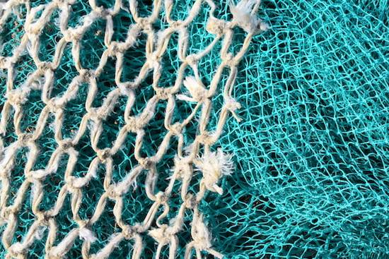 A fishing net representing Andrew's calling as a fisher of men.