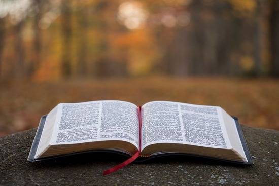 A Bible open on a rock, symbolizing the deep belief Adventists have in God's Word