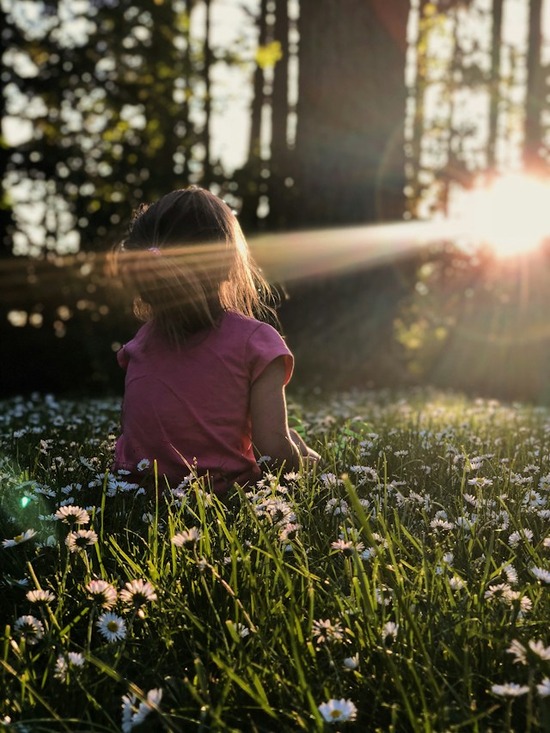 A child sitting in a field of flowers facing the sun's rays 