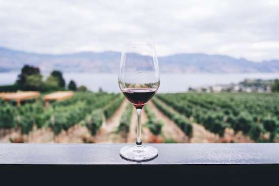 A glass of wine set on a railing overlooking a vineyard and a lake