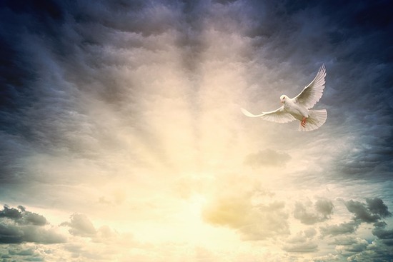 A dove, like the one that appeared to Jesus at His baptism, flies over a cloudy sky at sunrise.